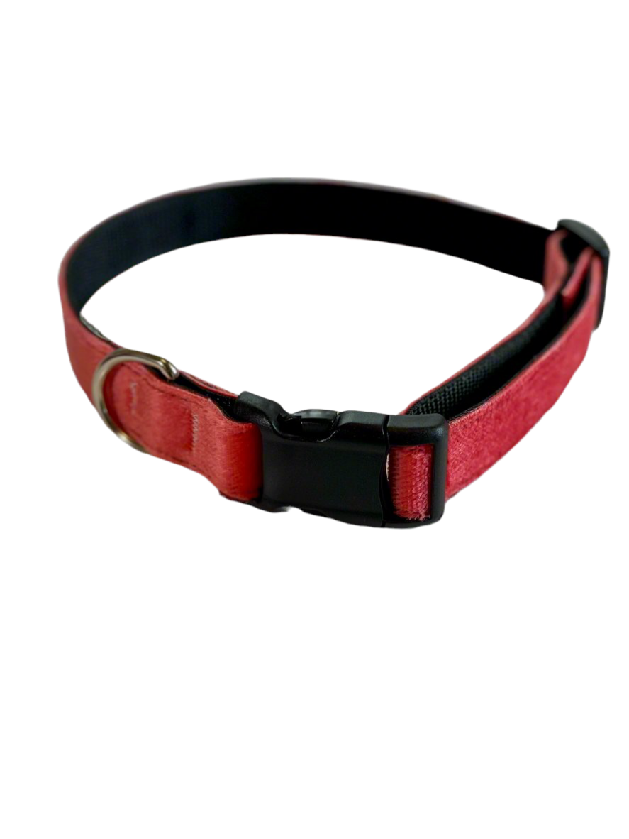 UpSkins Dog Collar