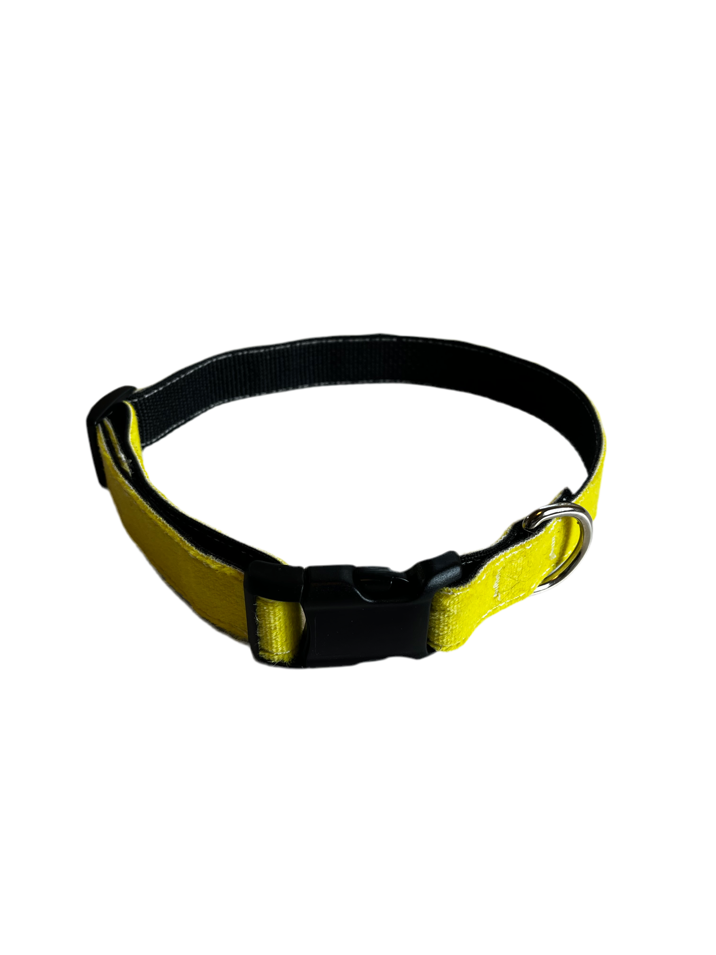 UpSkins Dog Collar