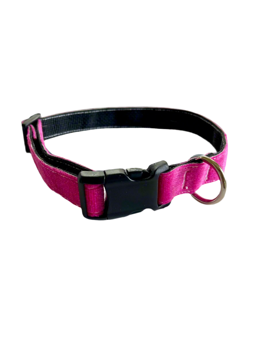 UpSkins Dog Collar