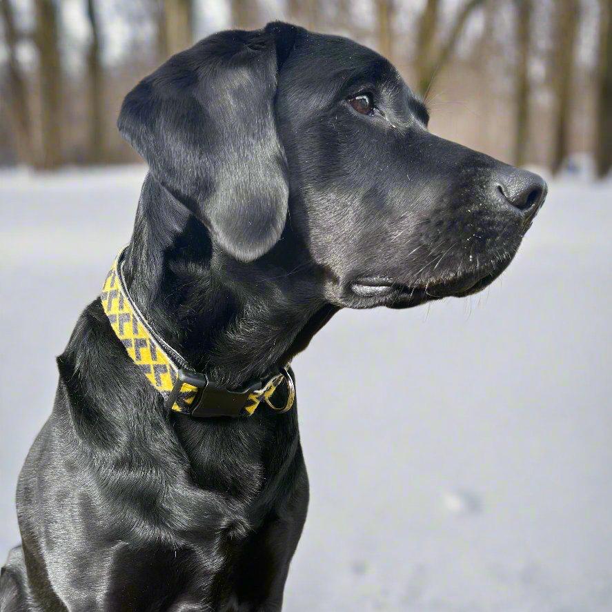 UpSkins Dog Collar