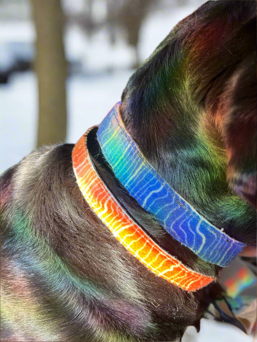 UpSkins Dog Collar